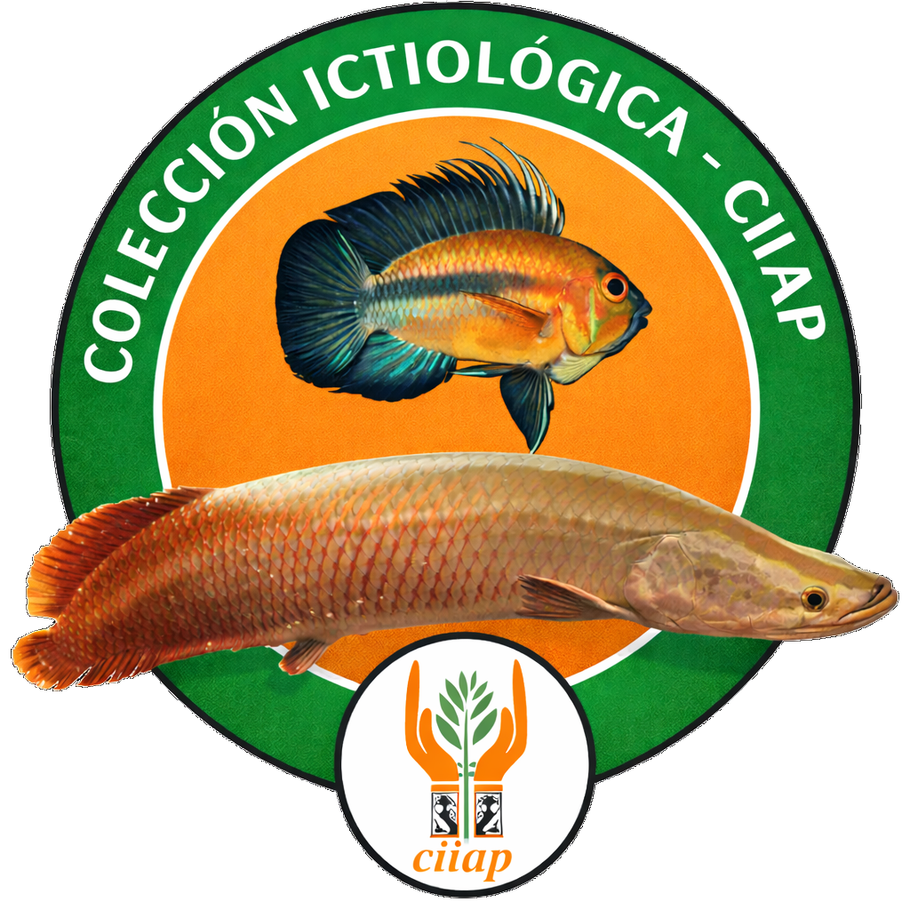 CIIAP