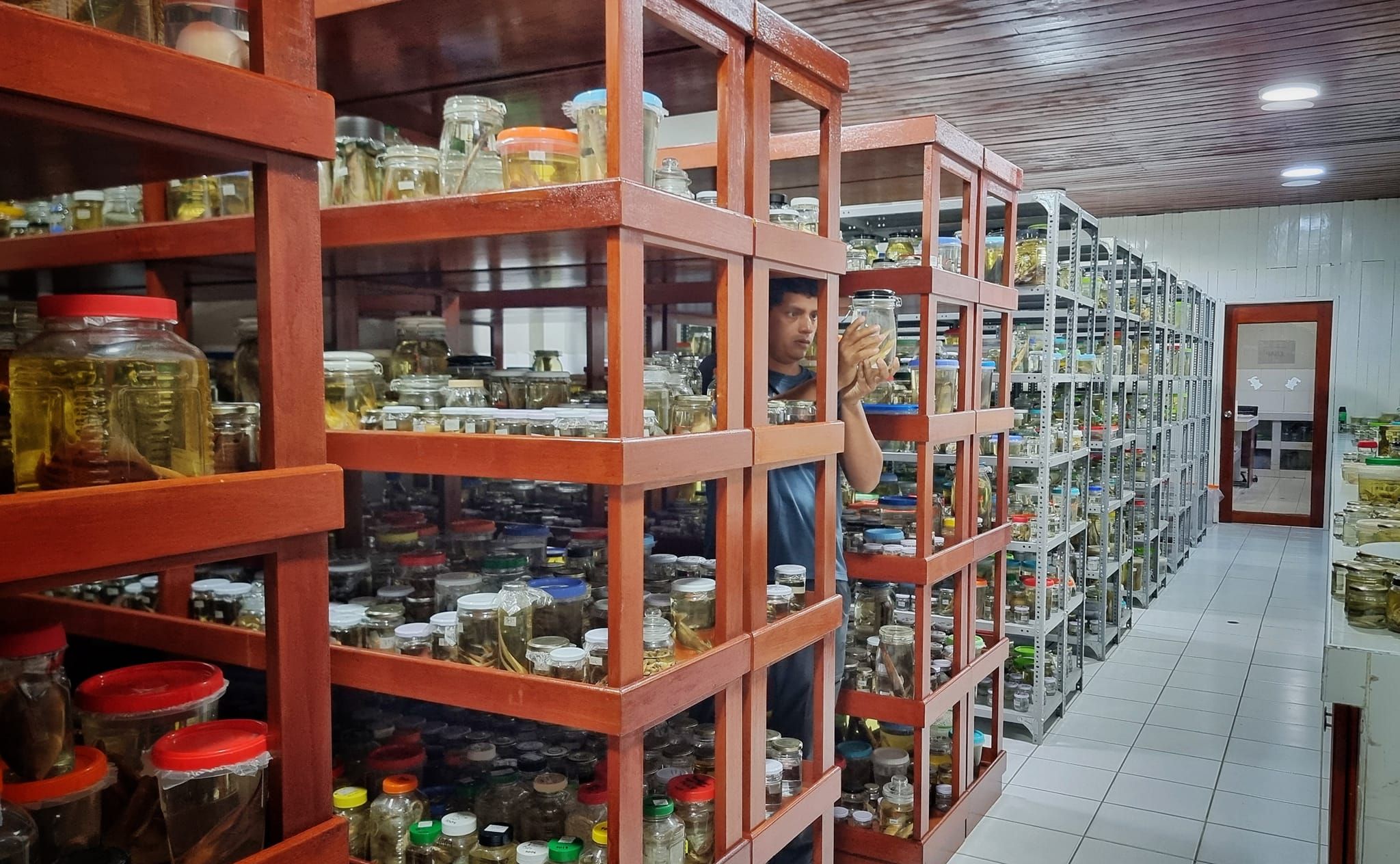Colección ictiológica CIIAP